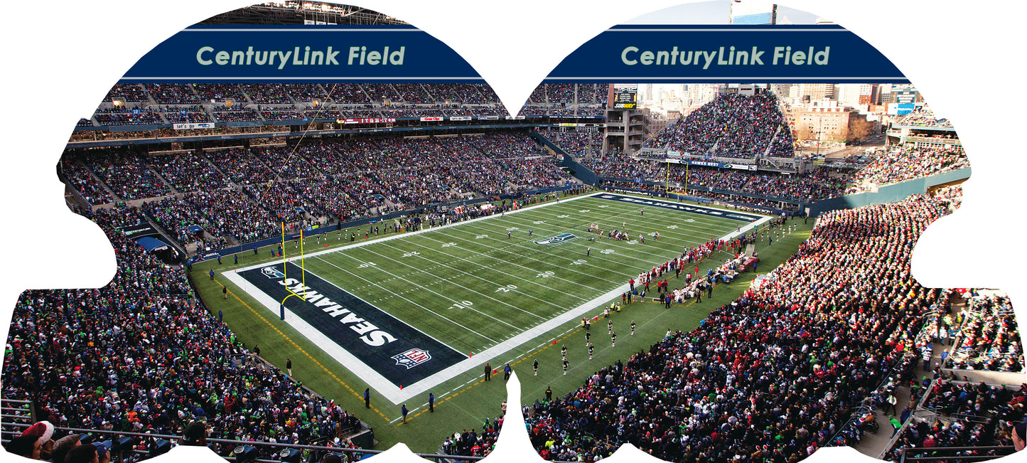 Seattle Seahawks 101