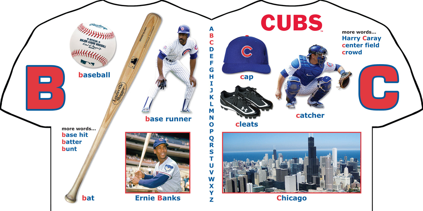 Chicago Cubs Gift Bag-Book & Rally Paper
