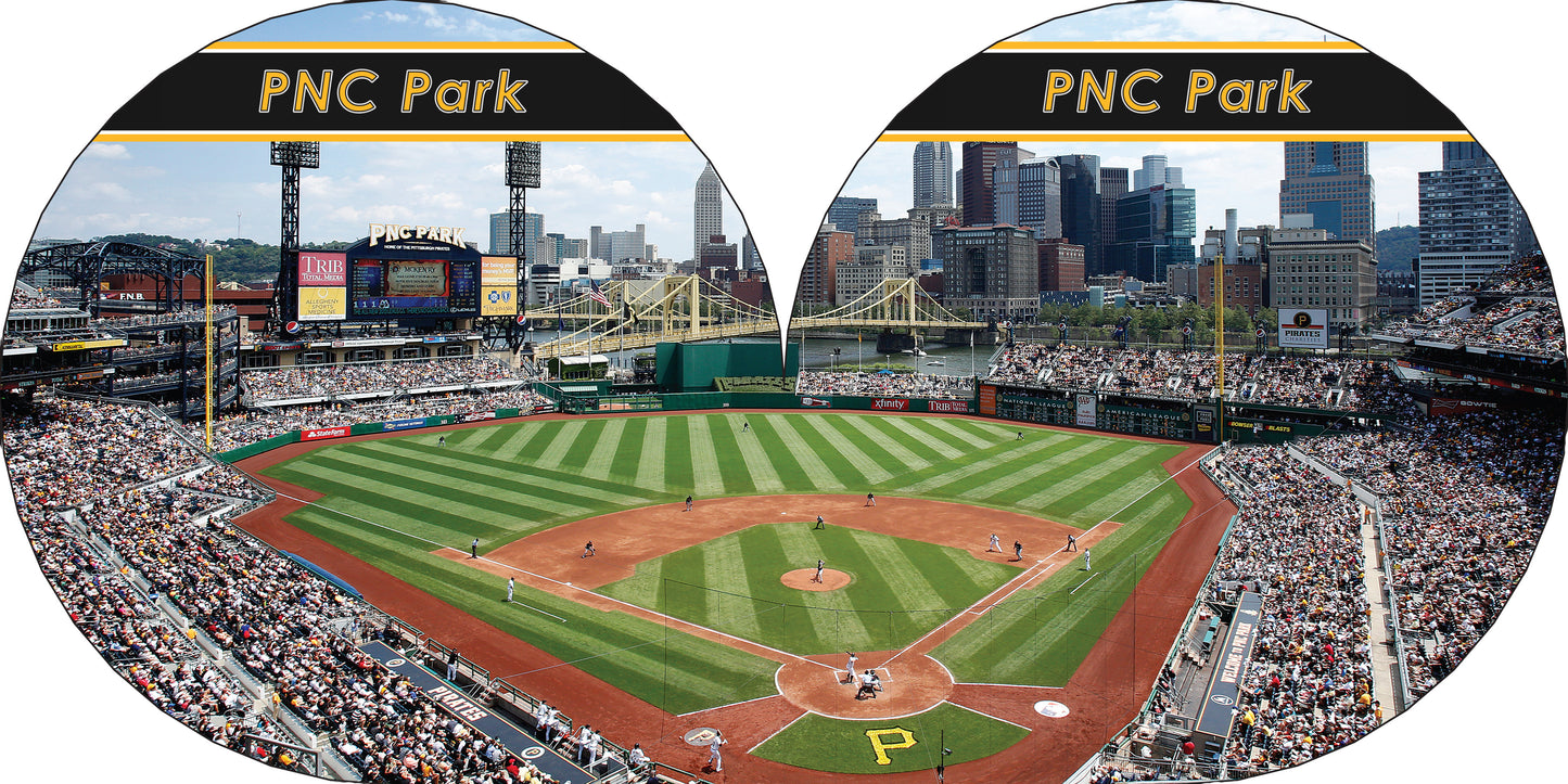 Pittsburgh Pirates 101